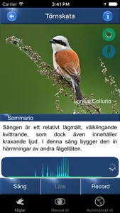 Fågelsång Id - fåglar screenshot 1