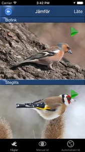 Fågelsång Id - fåglar screenshot 2