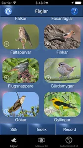 Fågelsång Id - fåglar screenshot 4