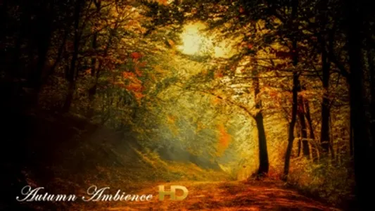 Autumn Ambience HD screenshot 0