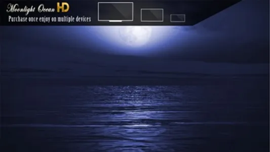 Moonlight Ocean HD screenshot 1