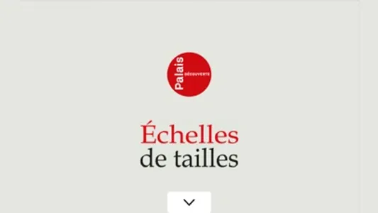 Échelles de tailles screenshot 0