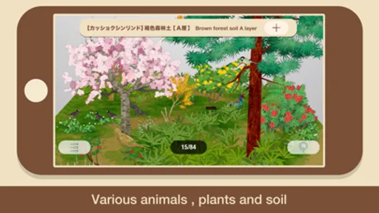 SOIL screenshot 1