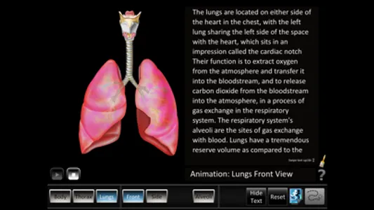 Respiration ID screenshot 3