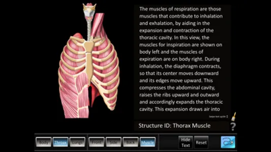 Respiration ID screenshot 4