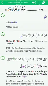 Quran Audio in Arabic, Swedish screenshot 3