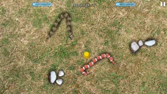 Snake Touch: Dual Battle screenshot 0