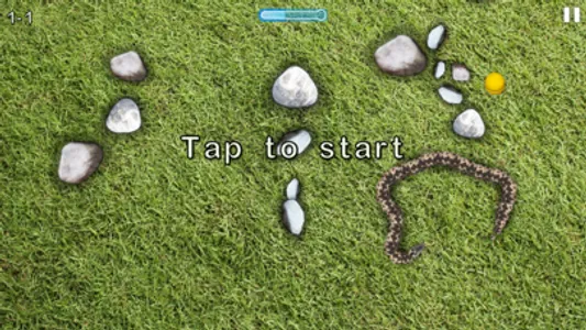 Snake Touch: Dual Battle screenshot 1