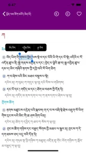 MonlamGrandTibetanDictionary screenshot 3