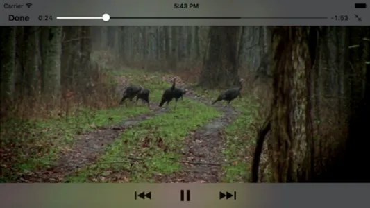 Wild Turkey Hunter Pro screenshot 4