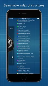 X-Anatomy Basic screenshot 3