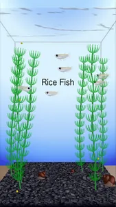 Rice Fish screenshot 0