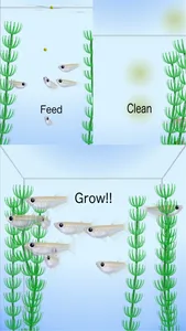 Rice Fish screenshot 2