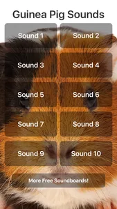 Guinea Pig Sounds screenshot 0