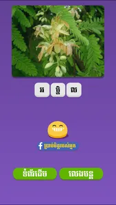 Khmer Pics Quiz screenshot 3