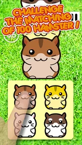 Hamster 100 Adorable Pet Friends screenshot 1