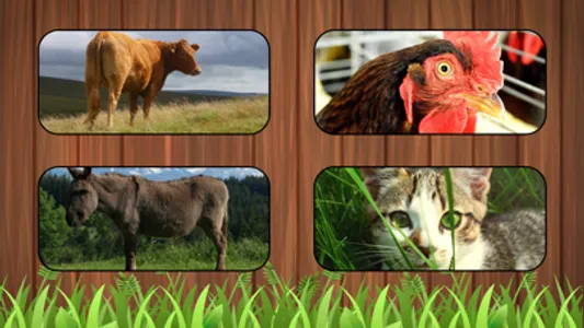 Listen Farm Animals screenshot 4