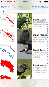 Costa Rica Birds Basic screenshot 0