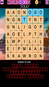 Word IQ Countries and Capitals screenshot 6