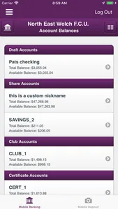 North East Welch FCU screenshot 1