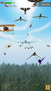 AvianJam - Bird Flight screenshot 0