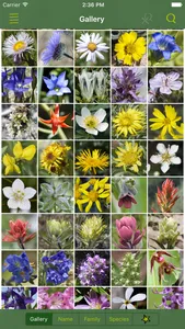 Rockies AlpineFlower Finder – a field guide to identify the wildflowers of the Rocky Mountains screenshot 0