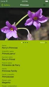 Rockies AlpineFlower Finder – a field guide to identify the wildflowers of the Rocky Mountains screenshot 2