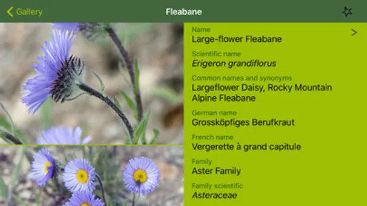 Rockies AlpineFlower Finder – a field guide to identify the wildflowers of the Rocky Mountains screenshot 3