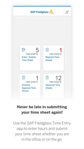 SAP Fieldglass Time Entry screenshot 0