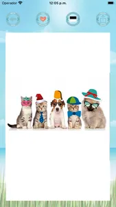 Funny stickers filters screenshot 3