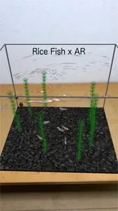 Rice Fish AR/VR screenshot 1