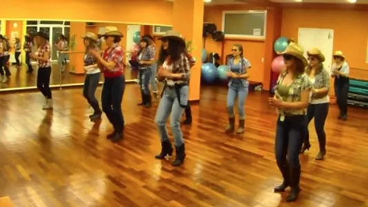 Teach Yourself Line Dancing screenshot 2