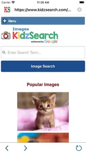 KidzSearch screenshot 4