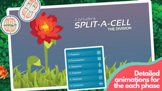 Split-A-Cell screenshot 2