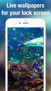 Aquarium Dynamic Wallpapers screenshot 0