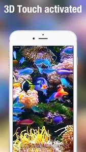 Aquarium Dynamic Wallpapers screenshot 2