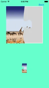 Safari Animals Jigsaw Puzzles screenshot 2