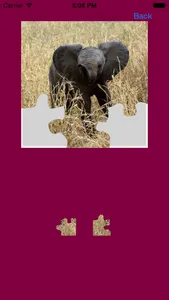 Safari Animals Jigsaw Puzzles screenshot 3