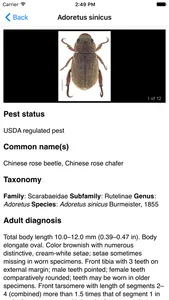 Hawaiian Scarab ID screenshot 4