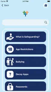 Safeguarding Board NI screenshot 3