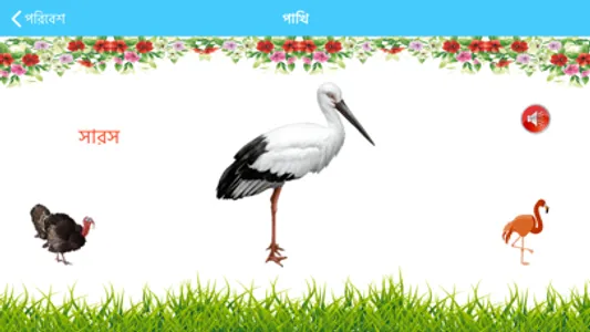 Bangla Alphabet screenshot 7