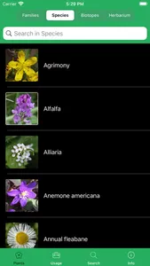 Mobile Flora - Wild Flowers screenshot 3