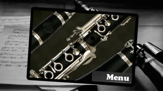 Clarinet Player screenshot 1