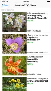 Oregon Wildflower Search screenshot 1