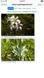 Oregon Wildflower Search screenshot 4