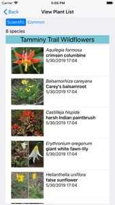 Oregon Wildflower Search screenshot 7