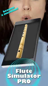 Flute Simulator PRO screenshot 2