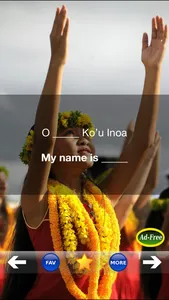 Hawaiian Words & Phrases! Hawaii Dictionary and Casual Language Translation Guide screenshot 0