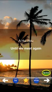 Hawaiian Words & Phrases! Hawaii Dictionary and Casual Language Translation Guide screenshot 2