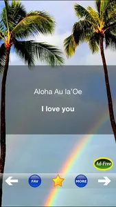Hawaiian Words & Phrases! Hawaii Dictionary and Casual Language Translation Guide screenshot 3